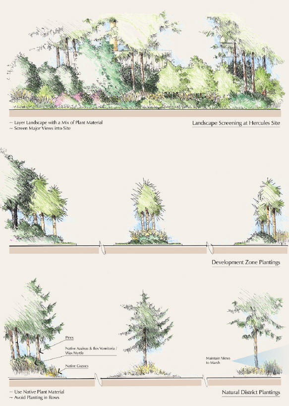 Landscape Screening and Plantings