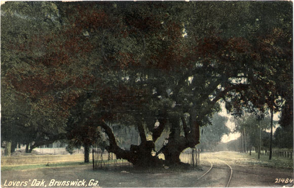 Lovers' Oak, Brunswick, Georgia